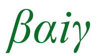 P.H.U. BAIG P.H.U. BAIG